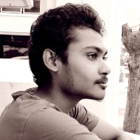 Kaushik N.B