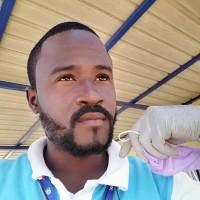 isandry castillo todd