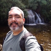 Mario Ribeiro