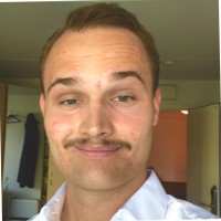 Ludvig Aarnes Embretsen