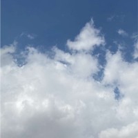 وفاء القرني