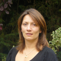 Stephanie Gollery