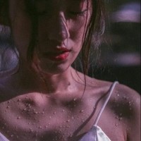 王君兰