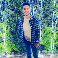 alaa bakr