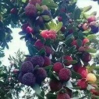 徐时辉