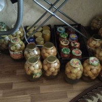 Алексей Маркевич