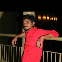 Vijay T S