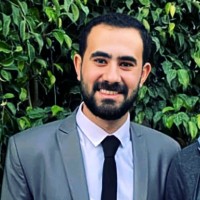 Mohammed Abdelmonem