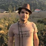 Mehdi Amiri