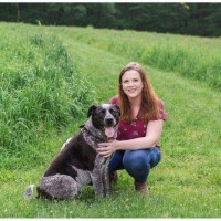 Cortney Leber