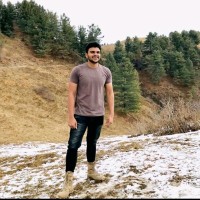 Ali Gulfam