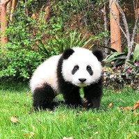 郝晓林