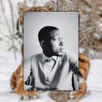 ADELEKE ADEKUNLE