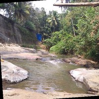 Vinod Kuttan