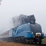 Thomas Eades