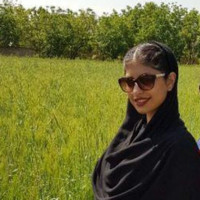 Rahil .R