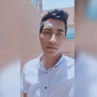 Hesham Mahrous , Dipifrs