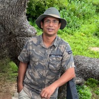 Neil Fernando