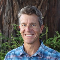 Stephen Harrington