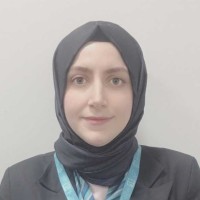 Semra Tellioğlu