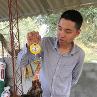 Linh Nguyenthanh