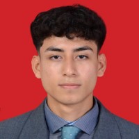 Juan David Gonzalez Bermudez