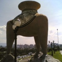 mario jose Contreras