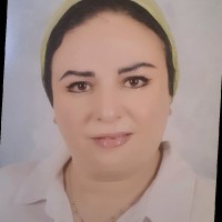 Iman M Adel