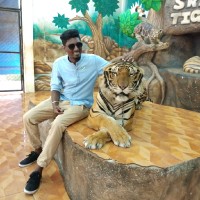 Shanmugam Rajasekar