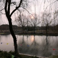 王浩琦