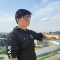 Vinicius L. Pacheco