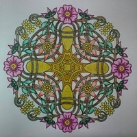 Sheerina Abdul Hafez