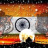 Indian Tiger