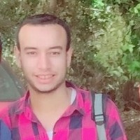 Ahmed Fathi Al Farmawy
