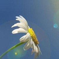 samar lotfy