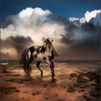 Abrar Hussain