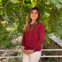 Sahar Yazdani