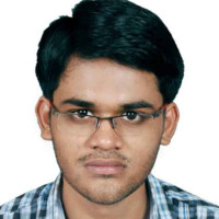 Animesh Ray