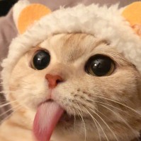 徐梦华
