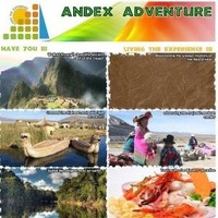 Andex Adventure