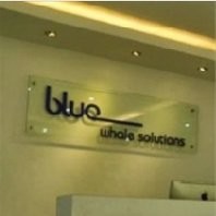 Anistone Bws