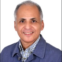 Bassem Hussein