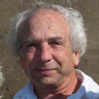 Joel Goldberger