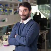 Joan Font Ingles, Phd, Mba