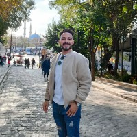 Ahmed Abdel Nasser