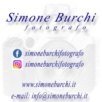 Simone Burchi