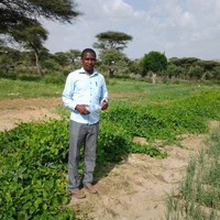 Julius Mburu