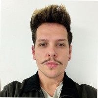 Michael Falstreau, Cac, Icadc