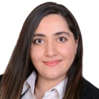 Maham Novin
