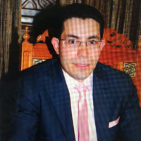 Ayman Elmansi